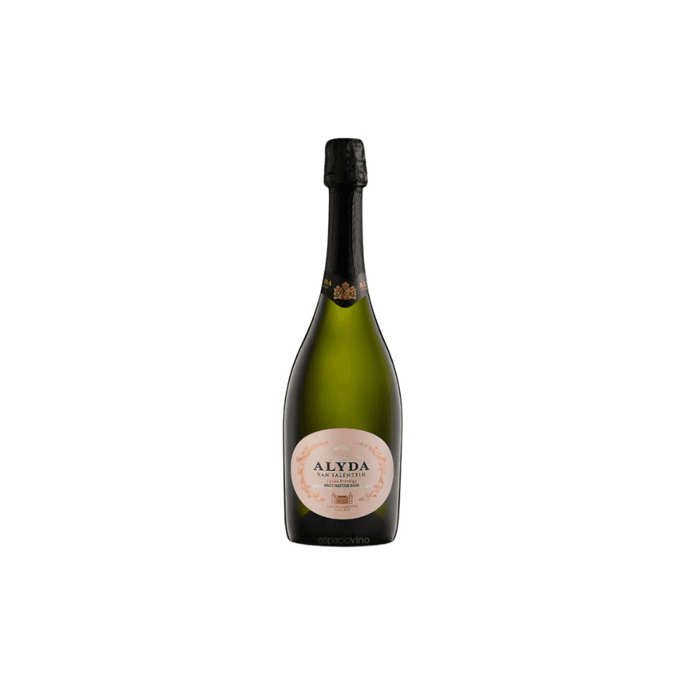 ESPUMANTE ALYDA VAN SALENTEIN BRUT NATURE ROSE *750ML