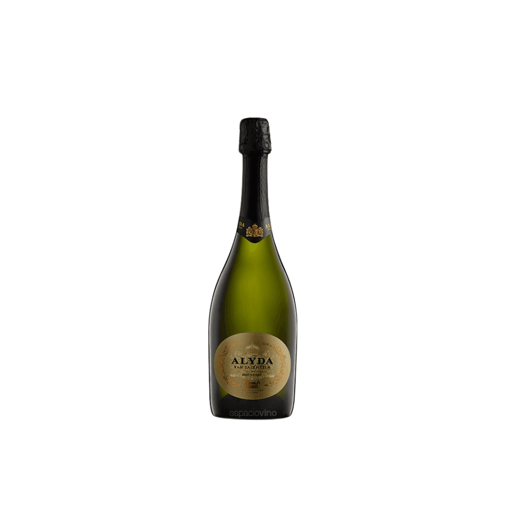 ESPUMANTE ALYDA VAN SALENTEIN BRUT NATURE *750ML