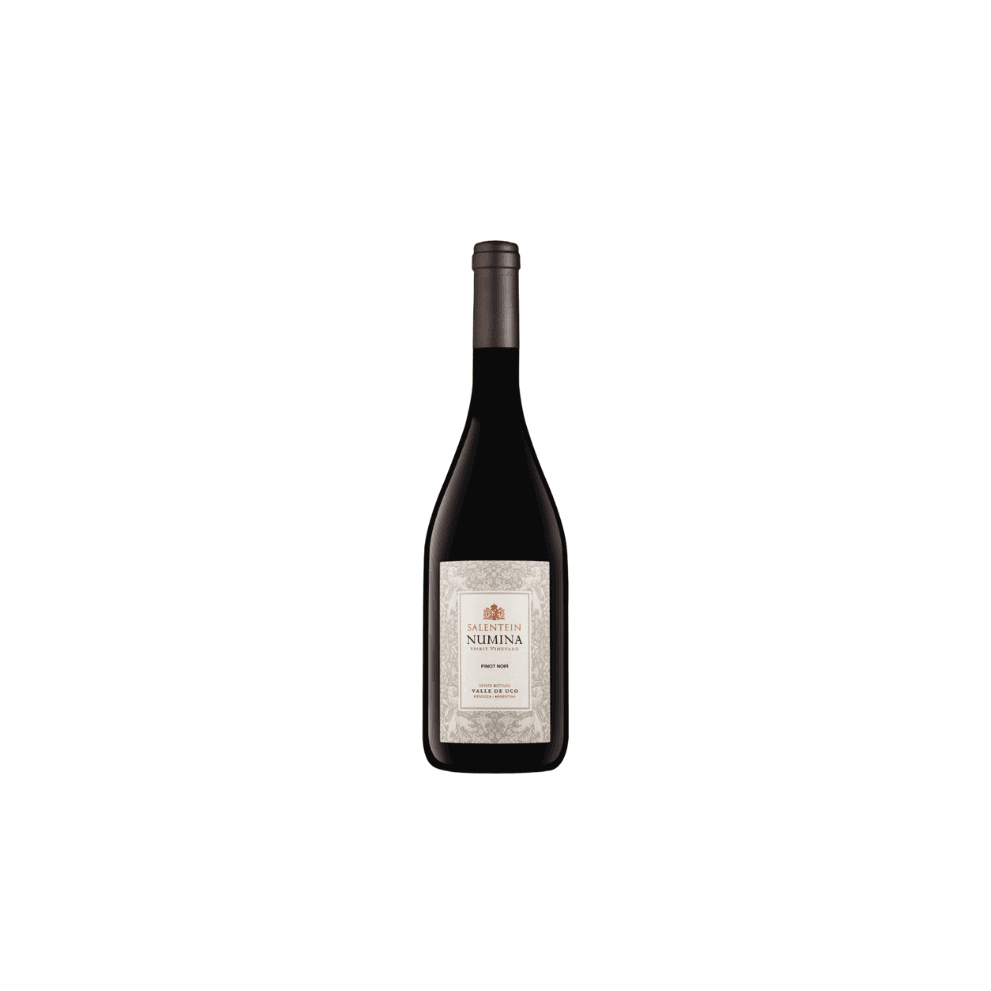 SALENTEIN NUMINA PINOT NOIR *750ML