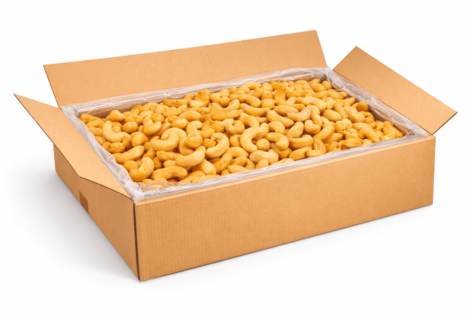 CASTAÑA DE CAJU *22,680KG