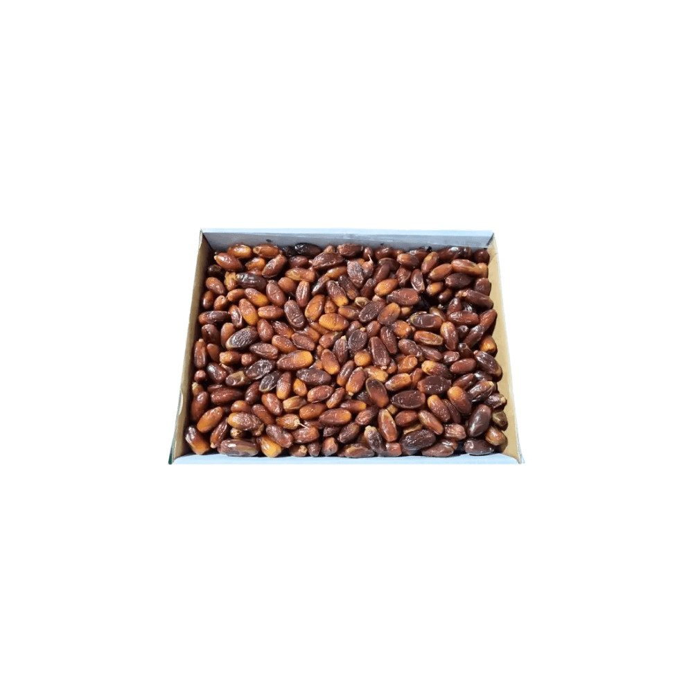 R2) DATIL SIN CAROZO DEGLET  *5KG 